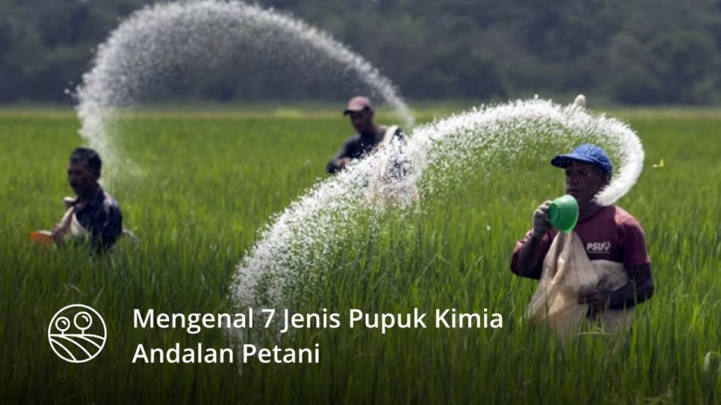 7 Jenis Pupuk Kimia Andalan Petani