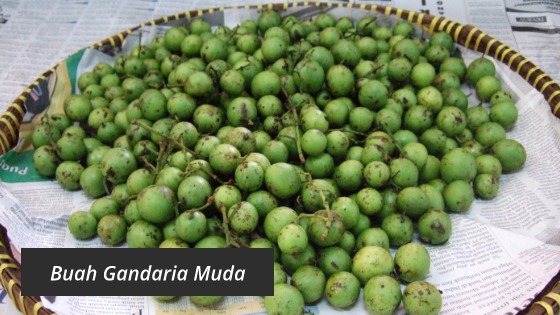 buah gandaria muda