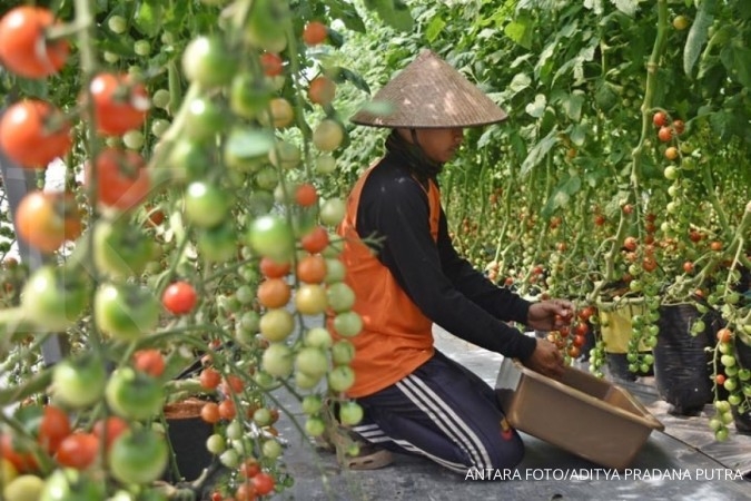 Pengertian Hortikultura dan Jenisnya.