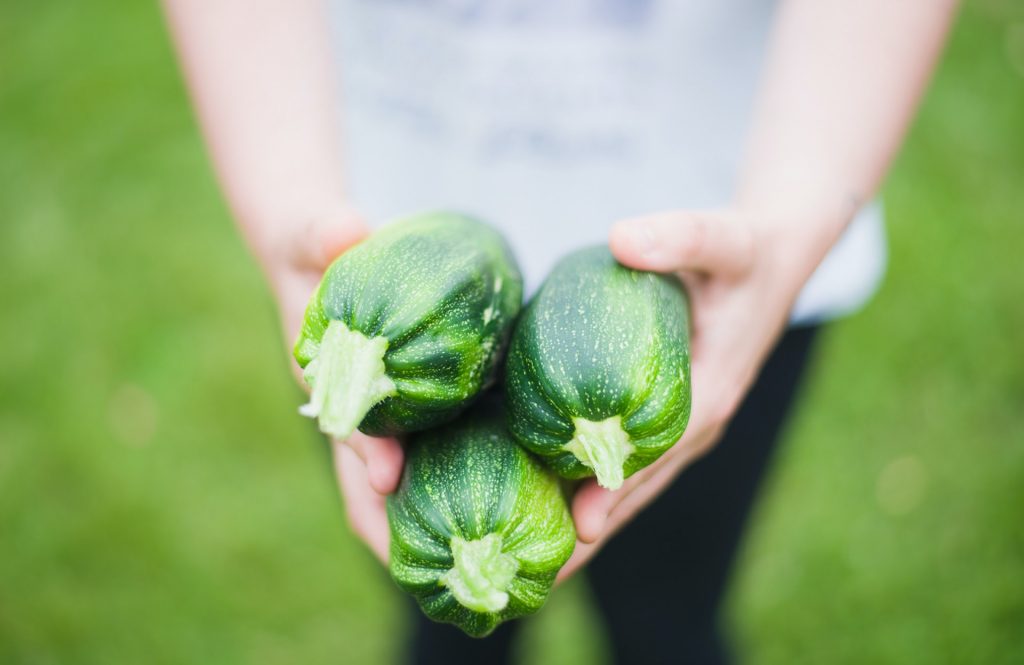 Kenalan dengan Zucchini, Buah Sayuran yang Kaya Manfaat